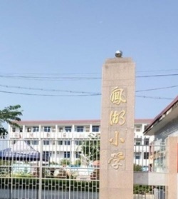 凤江镇凤湖小学环境