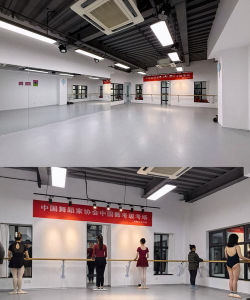 石门县楚江街道舞线六色艺术培训学校有限公司