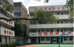 东莞市东坑丽晶小学