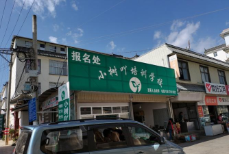 保山市隆阳区小树吖培训学校有限公司