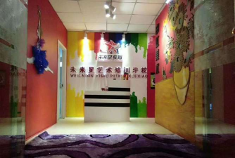 瑞安市星未来艺术培训有限公司