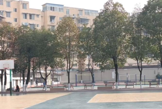 成都市龙泉驿区实验小学校