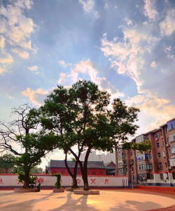 艾亭镇成才中学