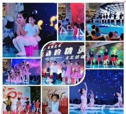 绍兴上虞星望文体艺术培训中心有限公司