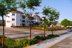 蒲城县洛滨镇西头初级中学