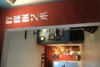 佛山市南海区柠檬树艺术培训有限公司