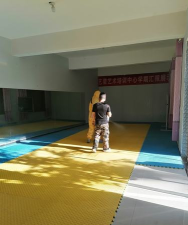 丰顺县艺星艺术培训有限公司