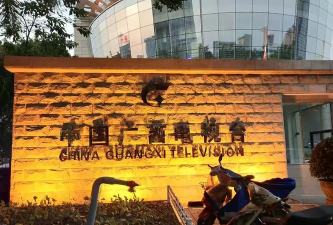 来宾市灵动艺术文化传播有限公司