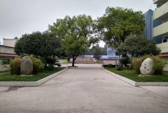 东坡区永寿镇罗平中心校环境