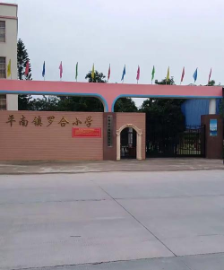 平南镇罗合小学
