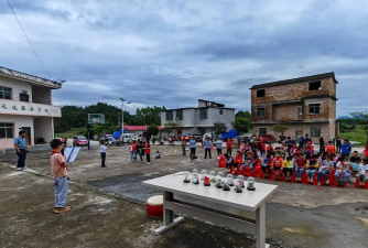 罗城县龙岸镇龙岸小学