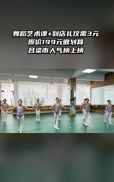 磁县北舞堂艺术培训学校有限公司幸福城分校