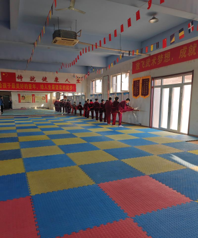 庆阳市西峰区新安戈斯武术培训学校有限公司