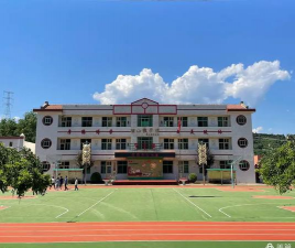 陇县东风镇南村中心小学