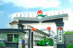 城关镇东街小学环境