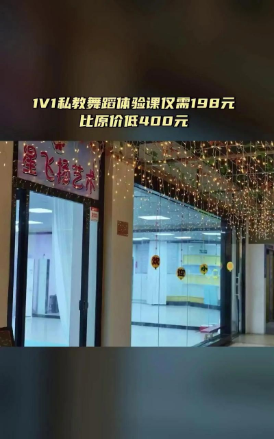 石家庄高新区星飞越文化艺术培训学校有限公司