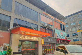 西乡县苹果树下艺术培训中心庆华商业街店