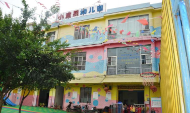 大荔县小童星幼儿园
