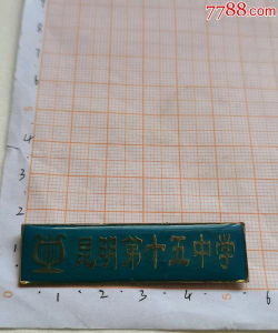 昆明第十五中学