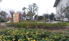 舒茶高级职业中学环境