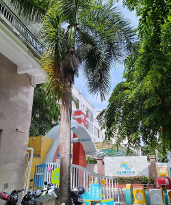 三亚市妇联机关中心幼儿园