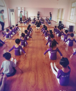 聊城江北水城旅游度假区瑞芭舞蹈培训学校有限公司