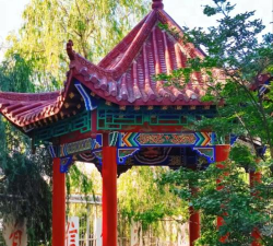 清丰县第一高级中学(清丰一高)