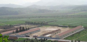 绥化市北林区宝山镇中心小学