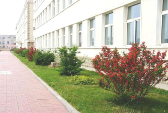 武汉市江夏区段岭庙中学