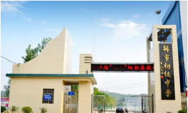 阳新县排市镇初级中学