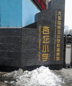 大东区杏坛小学