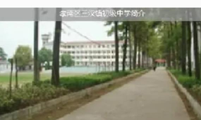 孝南区三汊镇初级中学