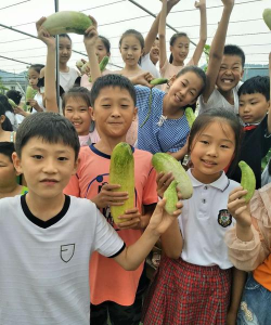 临河区实验农场小学