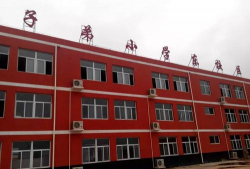 大名县大名镇子弟小学