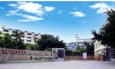 深圳市龙华中英文实验学校
