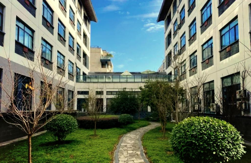 北京常春藤国际学校