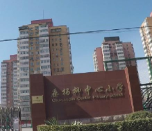 北京市朝阳区垂杨柳中心小学（杨柳校区高部）