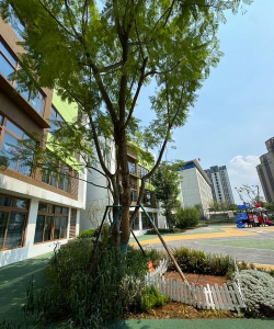 普陀区大渡河路第二幼儿园李子园分院