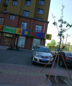 小海星幼儿园环境