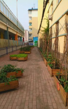 大同市蔬菜公司幼儿园