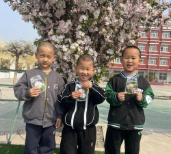 天津市武清区白古屯镇东马房幼儿园环境