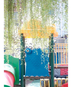 天津市东丽区春田花花幼儿园环境