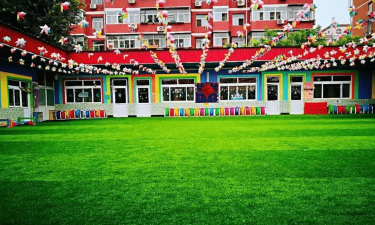 北京市昌平区小汤山镇大柳树村幼儿园环境