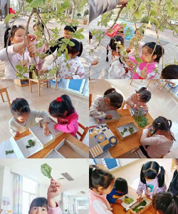 北京市丰台区看丹村中心幼儿园