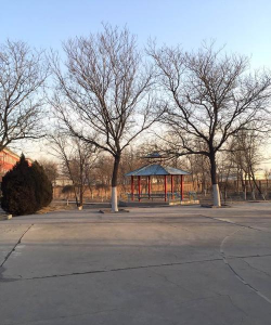 石嘴山市惠农区第十中学