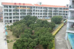 东莞东城朝晖学校(九年一贯制)