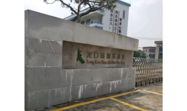 龙口镇协华小学环境