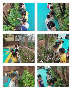 阳春市春城家乐幼儿园