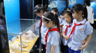 湛江市海头镇北月小学