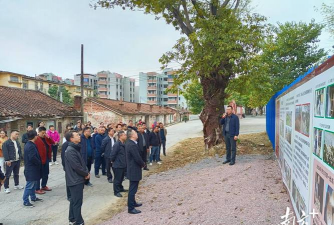 望埠镇鹤坪教学点